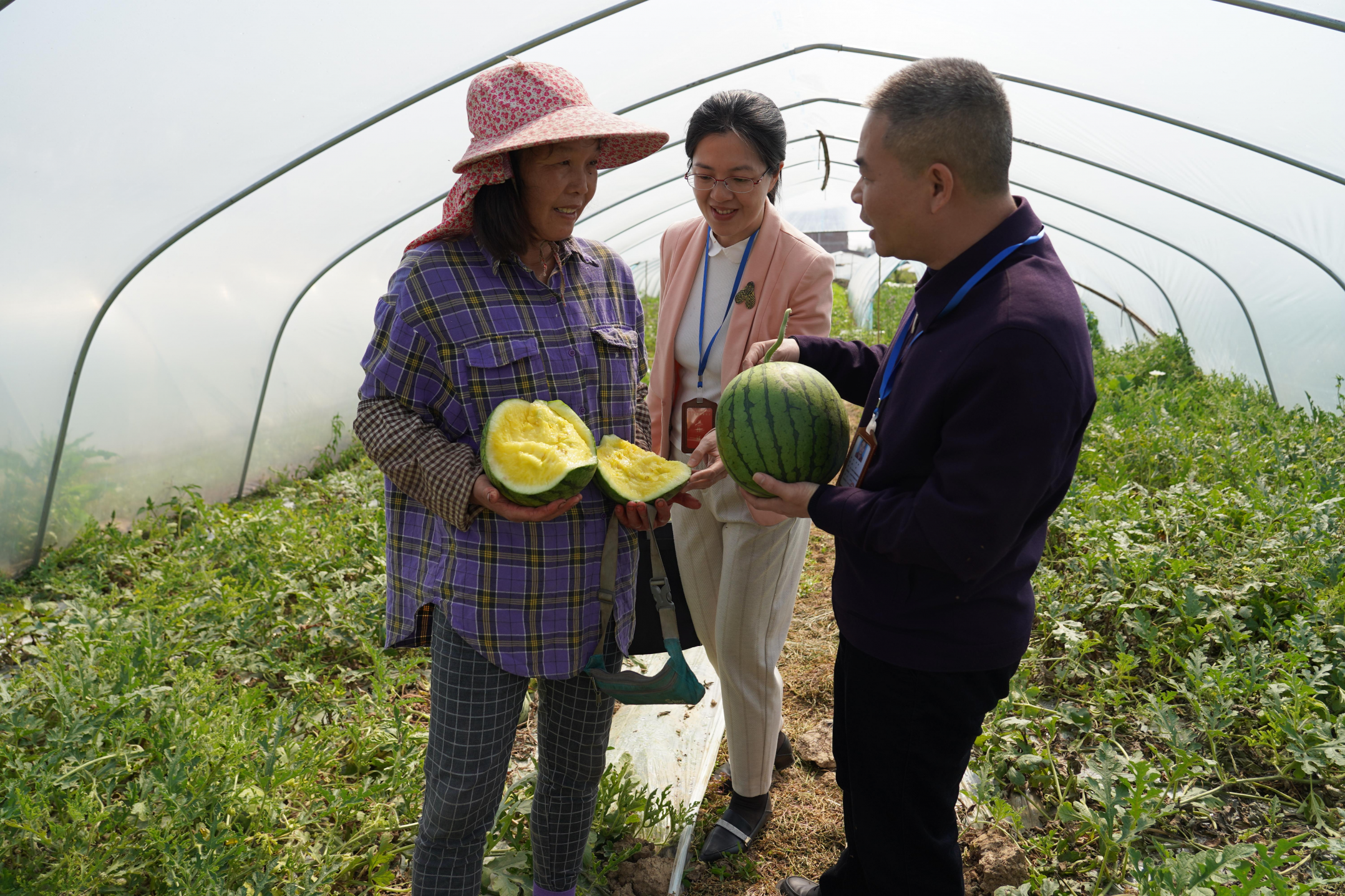 兴宁市纪委监委工作人员走访农户，了解乡村振兴政策落实情况。.jpg